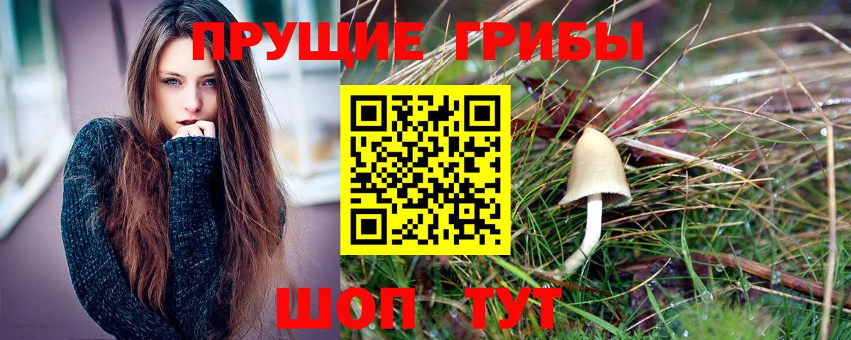 Галлюциногенные грибы прущие грибы  Вход с VPN  Дивногорск 
