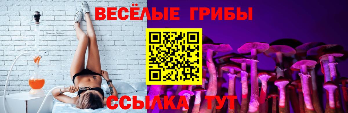 Псилоцибиновые грибы прущие грибы Дивногорск